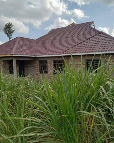 Tile Profile Roofing