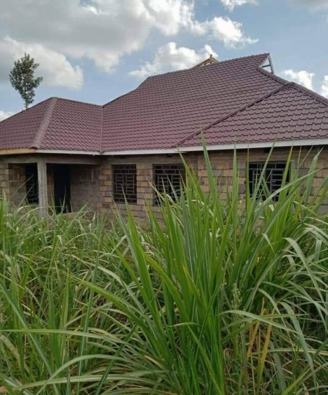Tile Profile Roofing